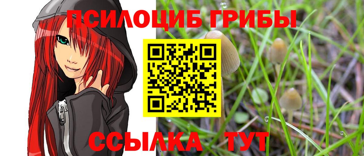 Галлюциногенные грибы мухоморы Черкесск