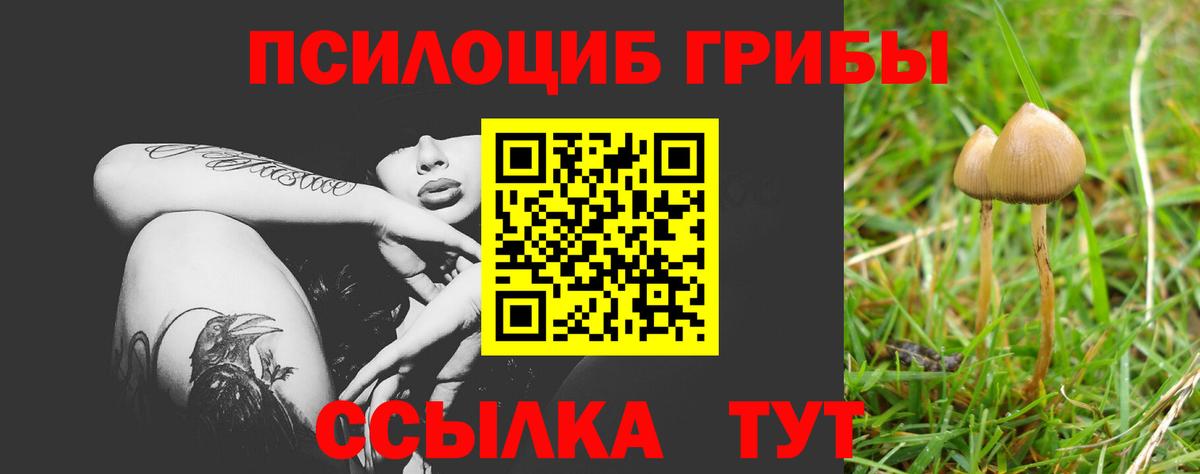 Черкесск  Псилоцибиновые грибы Magic Shrooms  что такое   Вход с VPN 